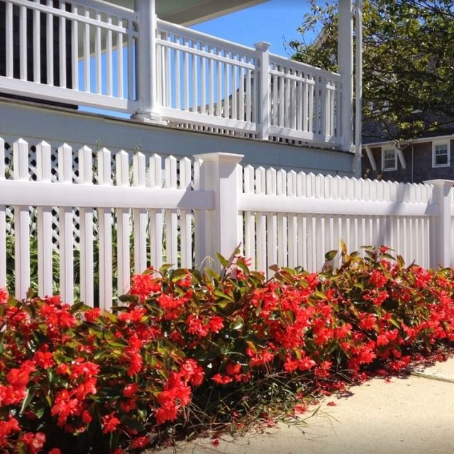 Red Flowers Along White Fence