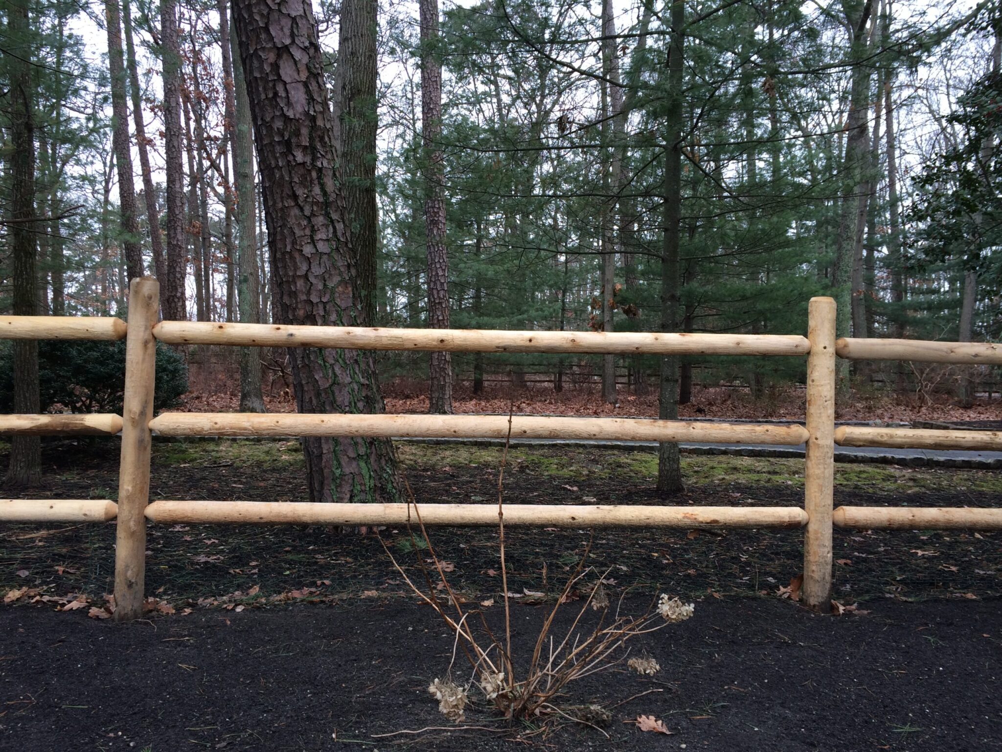 Wood Fence 10