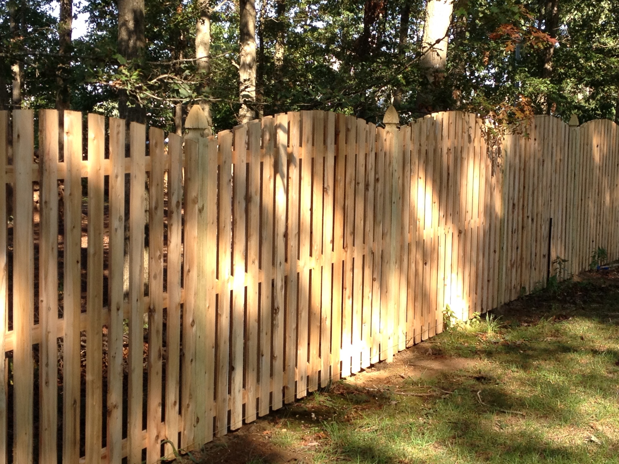 Wood Fence 2