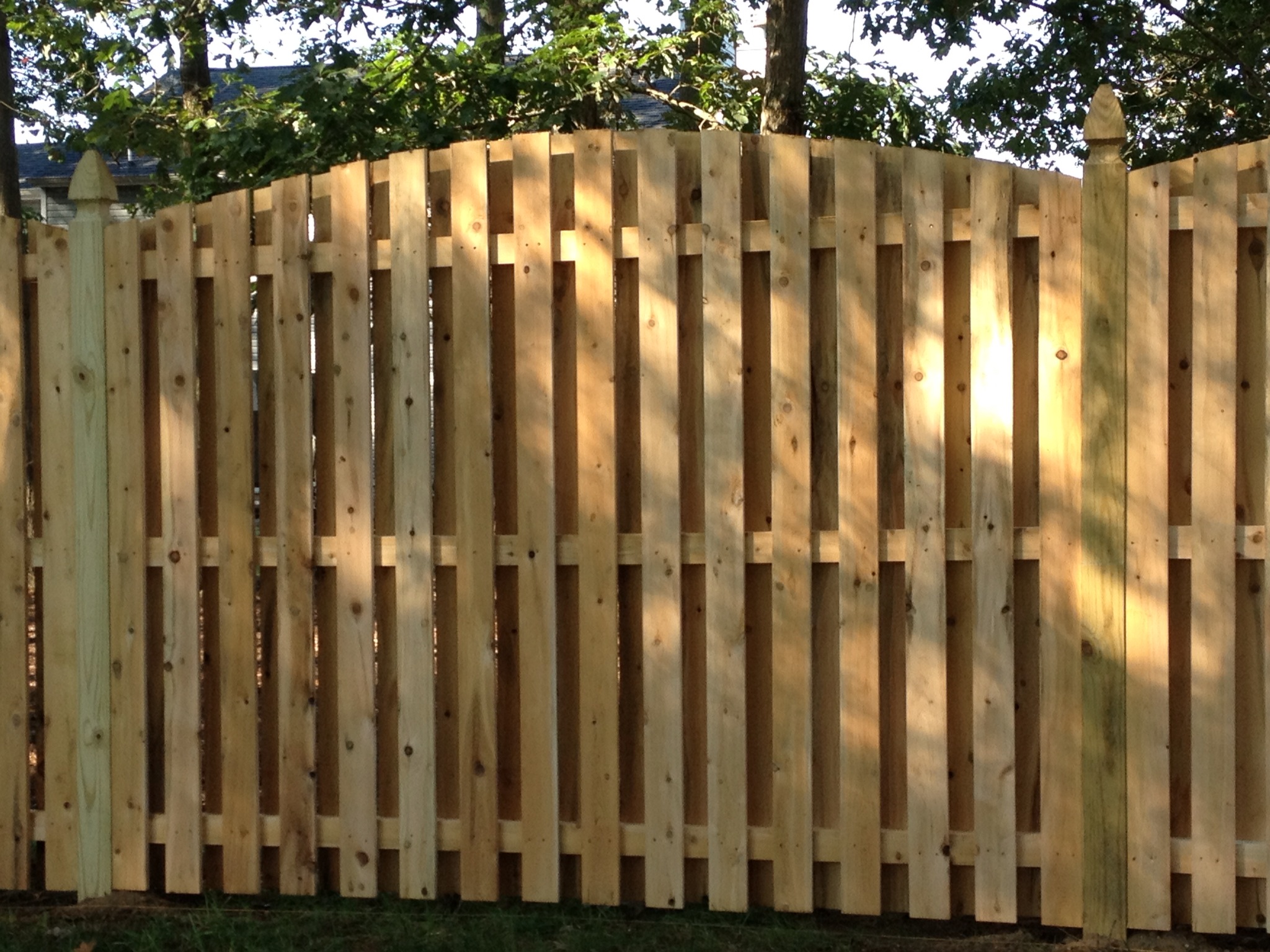 Wood Fence 1